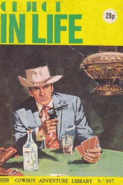 Object In Life