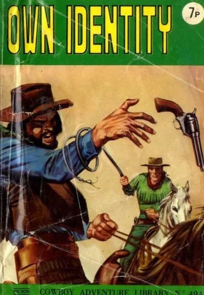 Cover of Own Identity