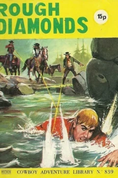 Rough Diamonds