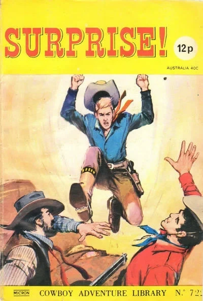 Cover of Surprise!