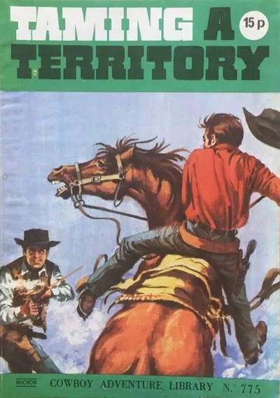 Cover of Taming A Territory