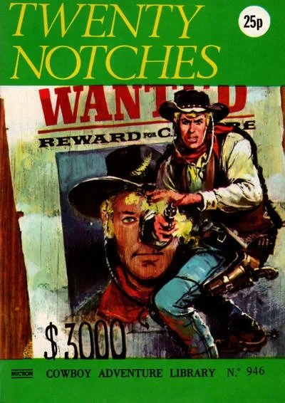 Cover of Twenty Notches