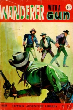 Wanderer With A Gun