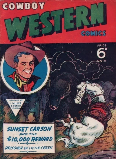 Cover of Issue #19
