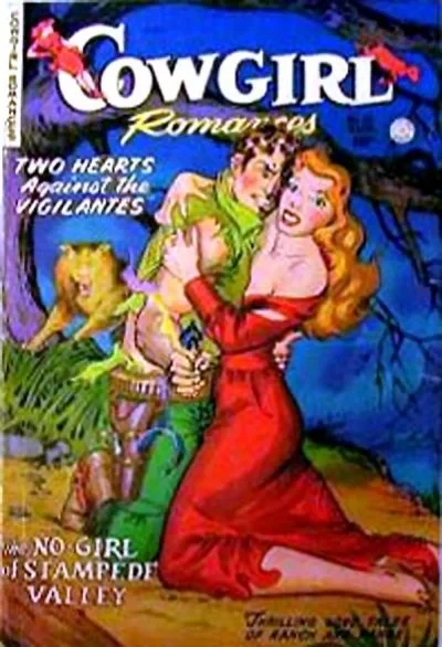 Cover of Two Hearts Against the Vigilantes