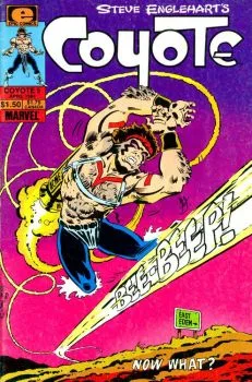 Cover of Coyote Catches Roadrunner