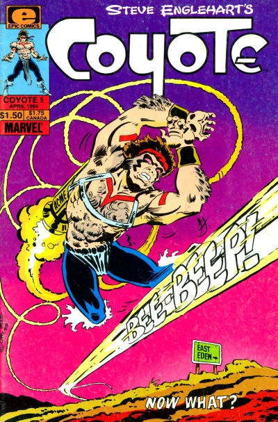 Cover of Coyote Catches Roadrunner