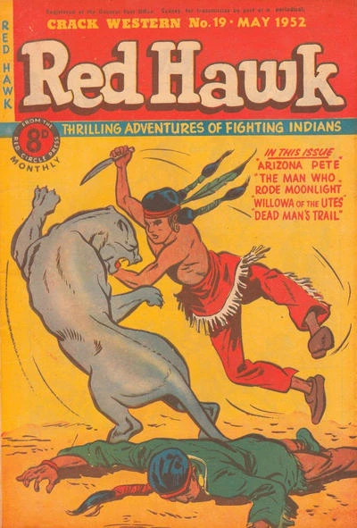 Cover of Issue #19