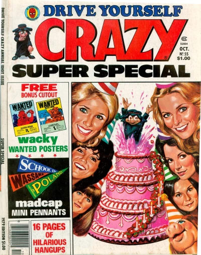 Cover of Drive Yourself Crazy Super Special