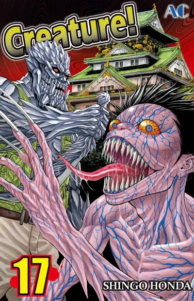 Cover of Volume 17