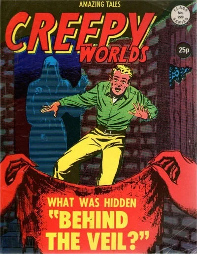 Cover of Behind the Veil
