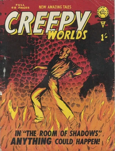 Cover of The Room of Shadows