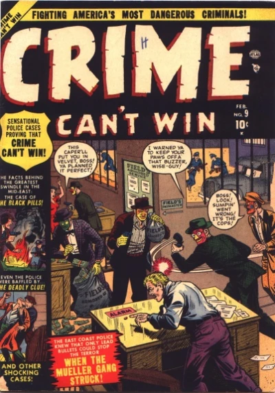 Cover of When The Meuller Gang Struck