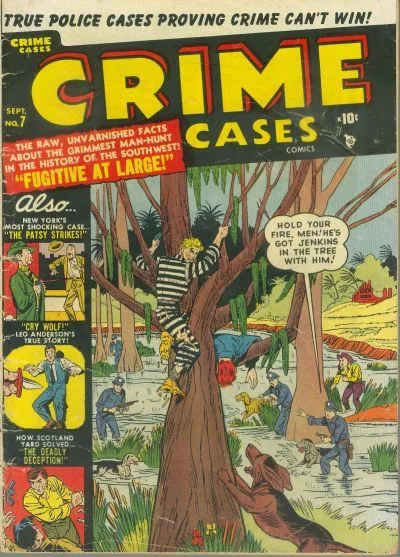 Cover of Fugitive At Large