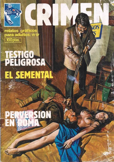Cover of Issue #27