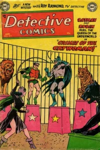 Crimes of the Catwoman