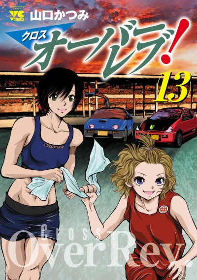 Cover of Vol. 13