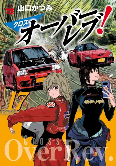Cover of Vol. 17