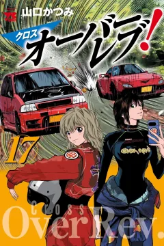 Vol. 17