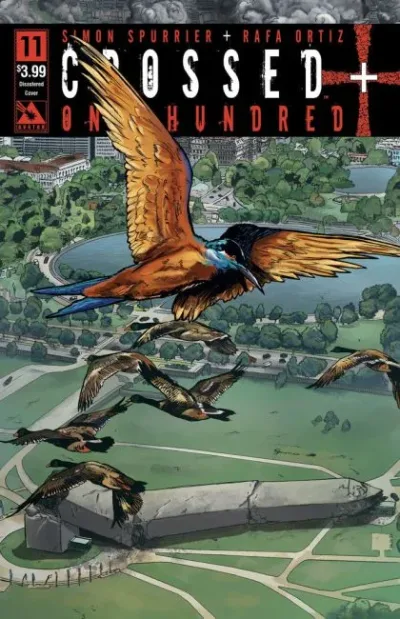 Cover of Cover D