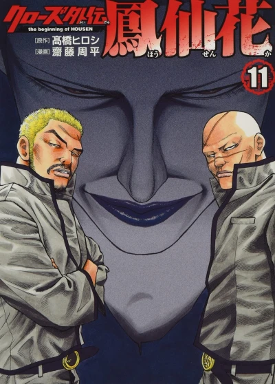 Cover of Vol. 11