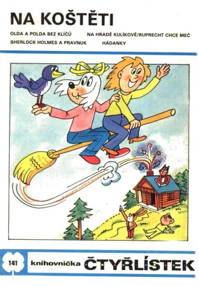 Cover of Na koštěti