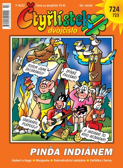Cover of Pinďa indiánem / Dobrodružství zakázáno