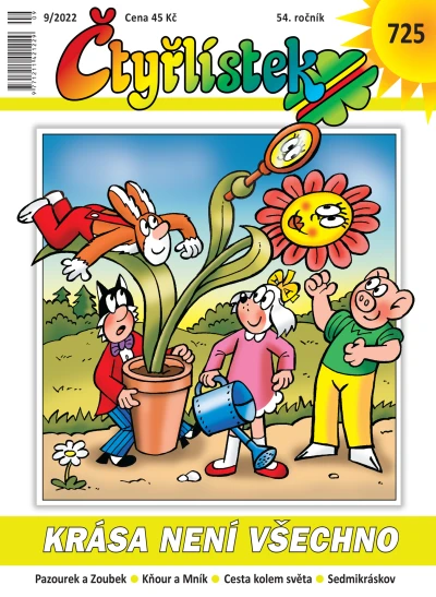 Cover of Krása není všechno