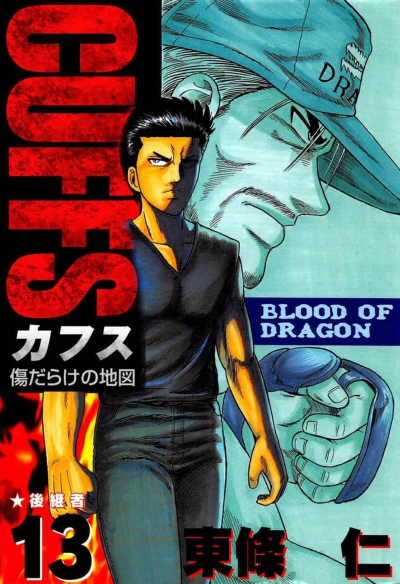 Cover of Vol. 13