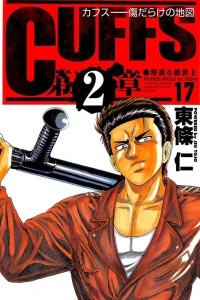 Vol. 17