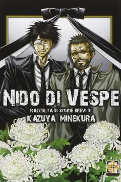 Nido di Vespe