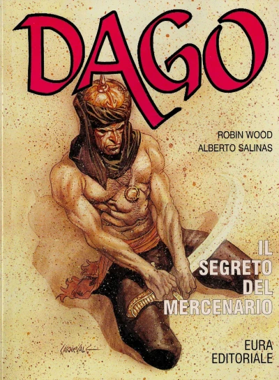 Cover of Il segreto del mercenario