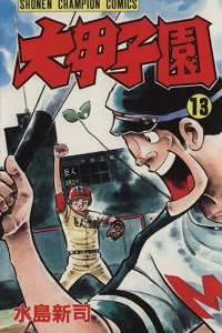 Vol. 13
