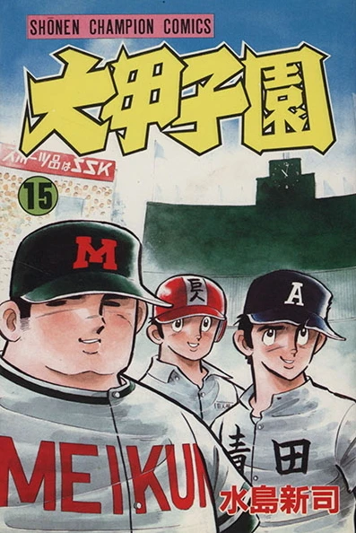Cover of Vol. 15