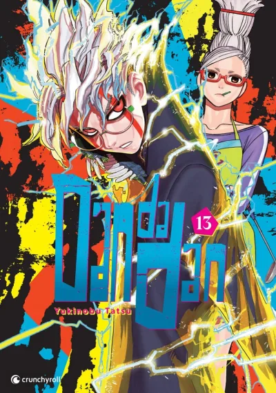 Cover of Band 13