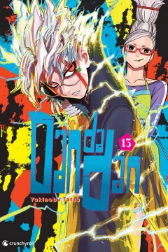 Band 13
