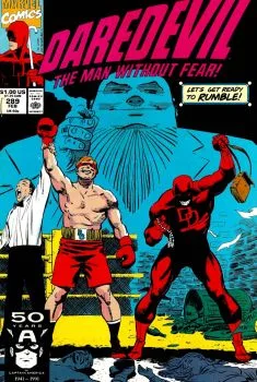 Cover of The Hero