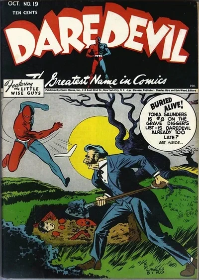 Cover of Issue #19