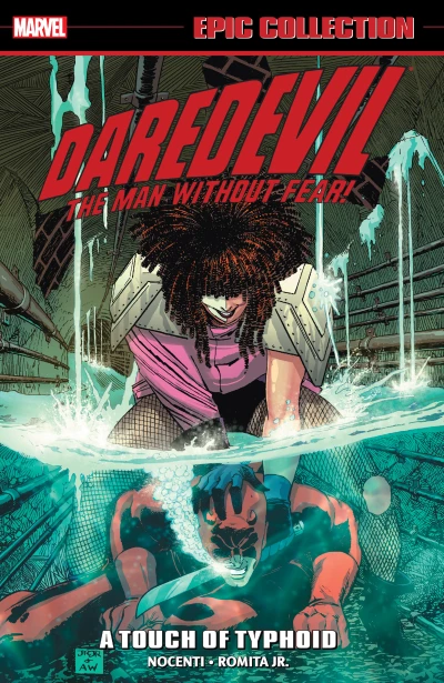 Cover of Volume 13