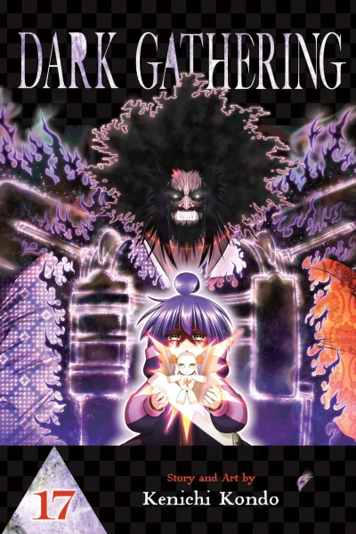 Cover of Volume 17