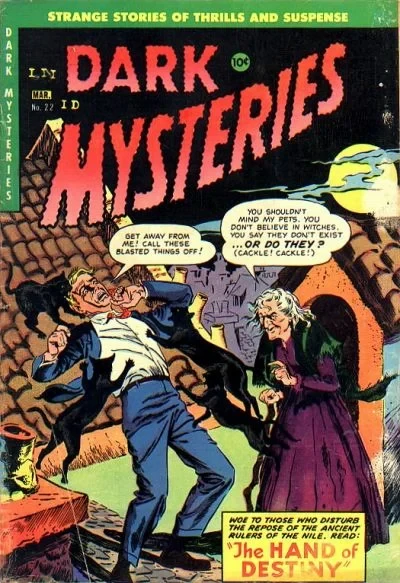 Cover of Issue #22