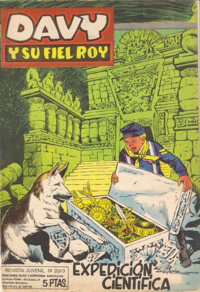 Cover of Issue #293
