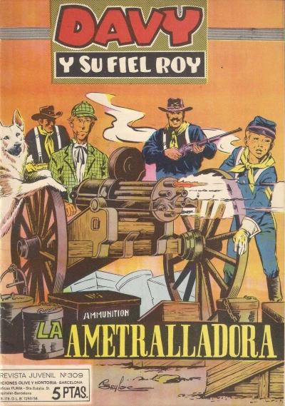 Cover of Issue #309