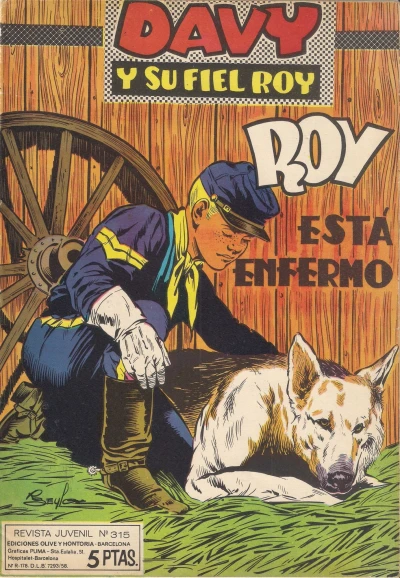 Cover of Issue #315