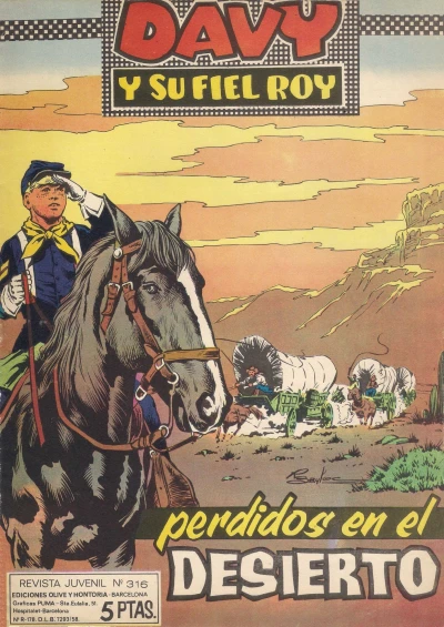 Cover of Issue #316