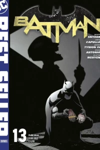 Volume 13