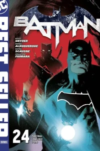 Volume 24