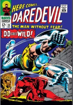 Cover of DD Goes Wild!