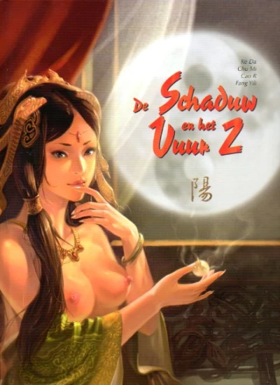 Cover of De Schaduw en het Vuur Deel 2