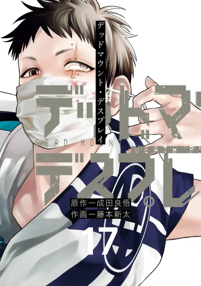 Cover of Vol. 17